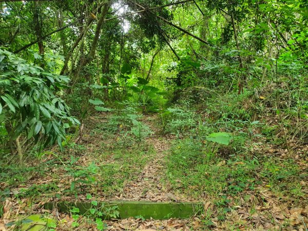 香山森林步道（已荒廢）1059540