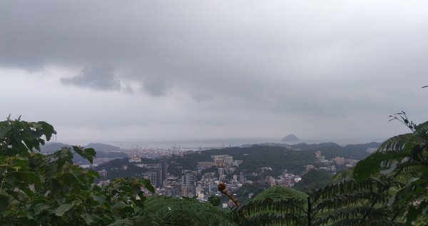 20210508_紅淡山步道1379616