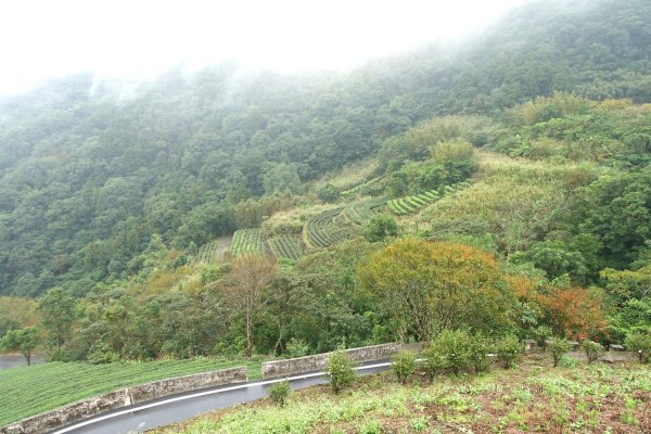 南山寺觀景台3086094