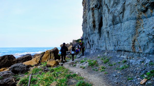 鼻頭角祕境2910607