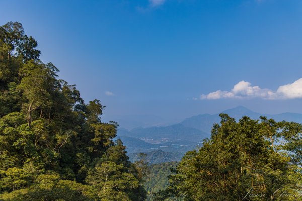 日月潭最高峰-水社大山3025303