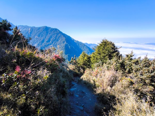2026-02-09 庫哈諾辛山2998908
