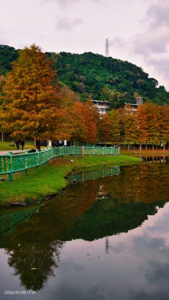 #花卉試驗中心 #永公路500巷 #平菁街42巷 #原住民公園 #士林官邸 1/42979272