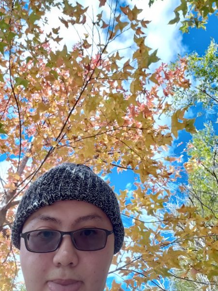 中級山-司馬庫斯2888984