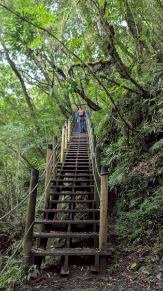 鎮西堡巨木步道群 (B區)2861212