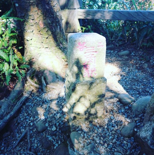 台中頭嵙山1號-5號-2號步道224663