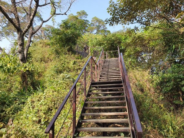 清水岩中央嶺造林步道1188968