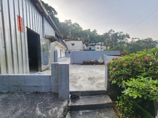 20250404雙十縱走失敗撤退改走蝙蝠山2892545