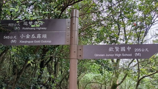 瑞芳區金瓜石地質公園-大粗坑古道(大粗坑山+小金瓜露頭)-樹梅坪-百二崁古道-金瓜石地質公園步道O型3055284