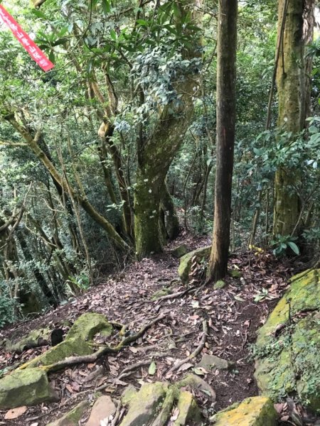 仙山.八仙古道O型走521361