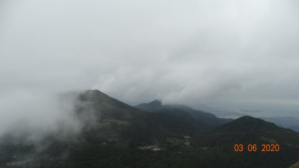 再度槓龜 !868784