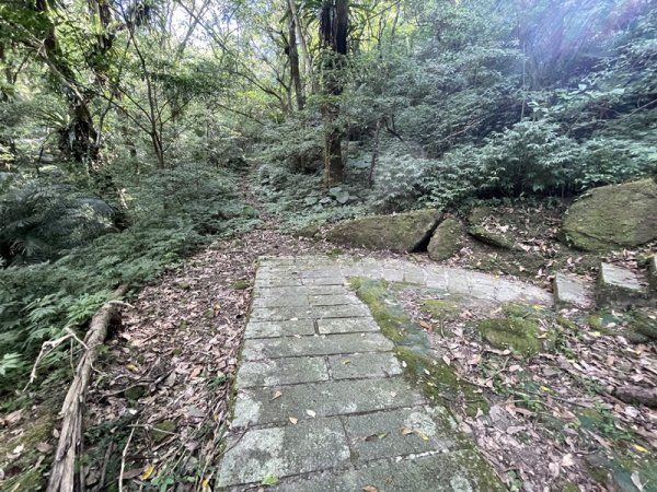 【二格山系】皇帝殿稜線2914117