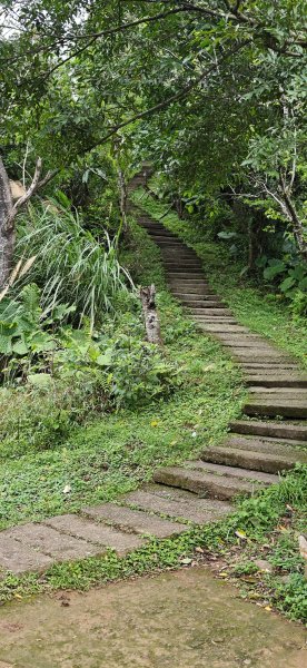 2026-0307 造鎮-文筆山-天華山-南勢角山-蘭花亭-牛伯伯3015830