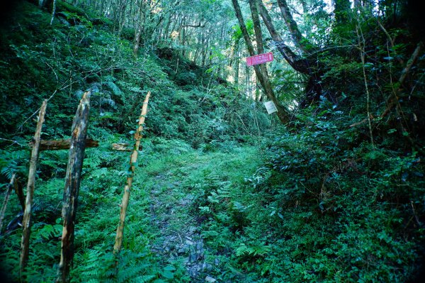 宜蘭 大同 巴博庫魯山3120725
