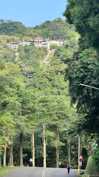 臺北大縱走第七段：指南宮千階步道到政大後山2155700