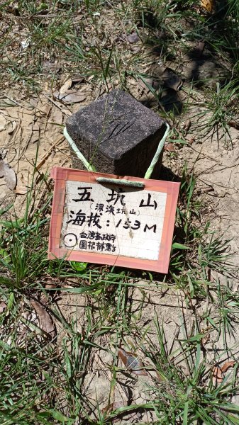 20250914＿五坑山2884116