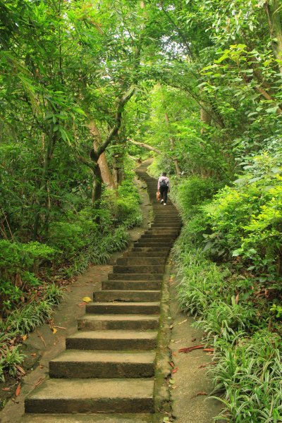 樹林．大同山登山步道2023/06/042210265