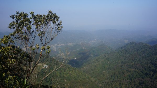 神仙縱走(仙山至神桌山)1283201