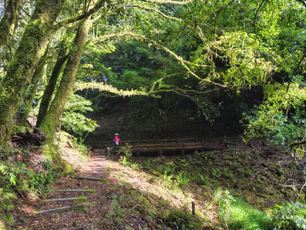 稍來小雪山國家步道、船型山、鞍馬山、鞍馬山東北峰、天池、雪山神木2799835