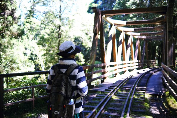 水山巨木步道2041714