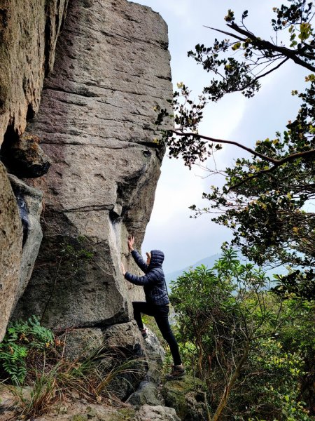 大砲岩-石壇山-八頭山-湯守岩-丹鳳山-202412222859762
