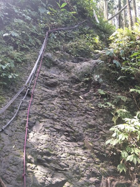 2018 03 10 南庄向天湖山步道284013