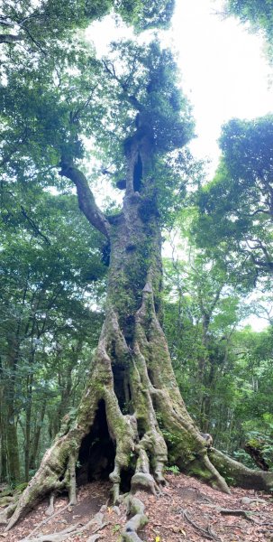 高島縱走封面