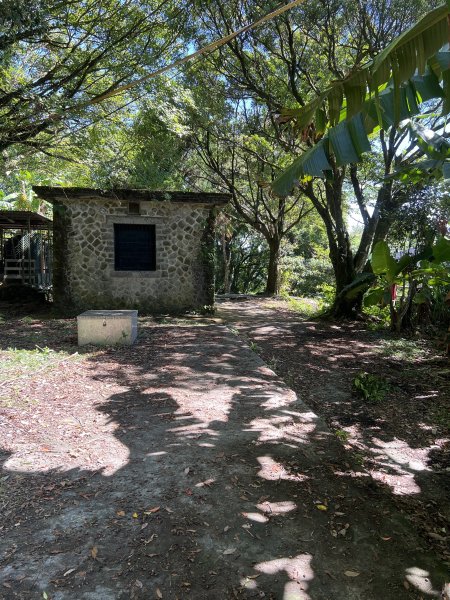 2025山之精靈2910553