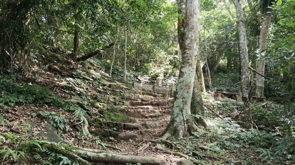 20251004 馬那邦山 - 珠湖 登山口2904821