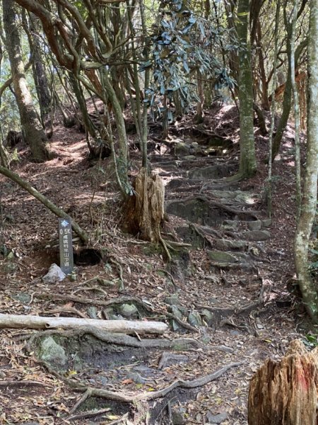 鳶嘴山捎來國家步道3060303