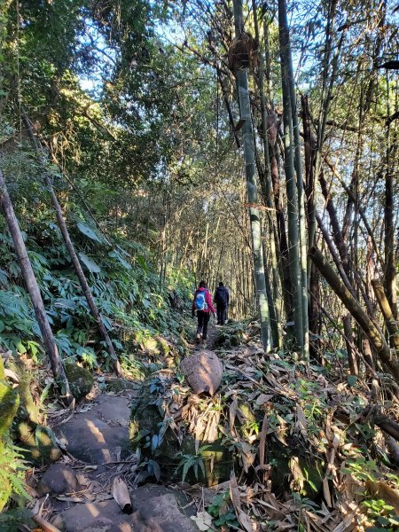 【苗粟 | 馬拉邦山】1227223