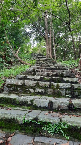 《新竹》石階古道｜橫山大崎棟古道O繞上大山背山202308252261598