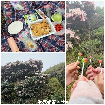 【南投仁愛】合歡東峰步道x合歡石門山步道(賞杜鵑)3052455