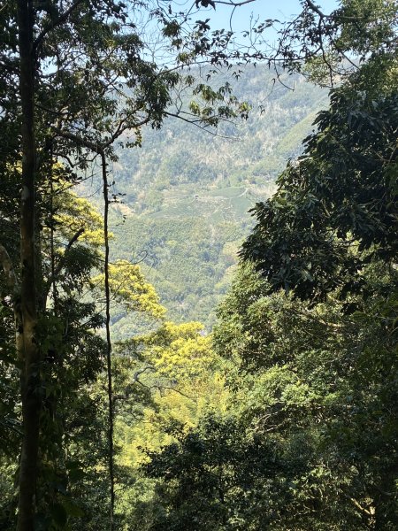 20260322[公車]石壁山&嘉南雲峰3019928