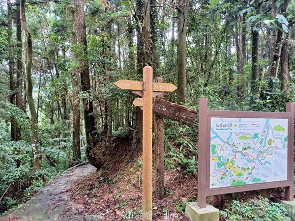 【新竹橫山】綠蔭夾道流水淙淙。2024森遊竹縣。 騎龍古道2616198