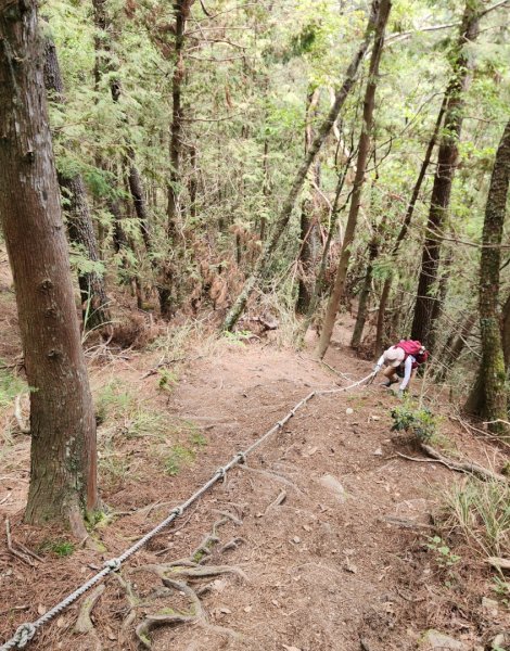 【百岳】志佳陽大山2779725