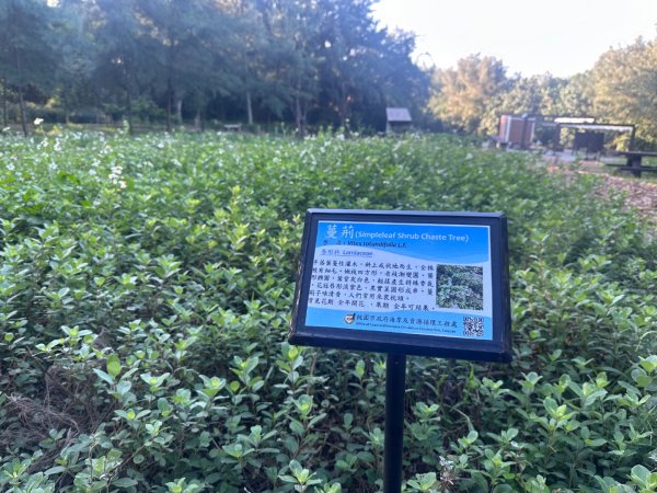 永安漁港、新屋海濱植物園2657311