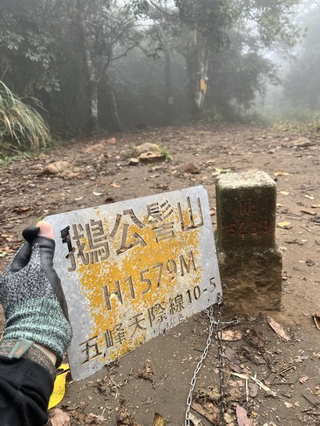 【鵝鳥雙拼】 鵝公髻接鳥嘴山2382731