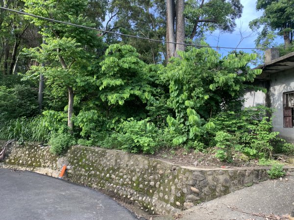 20250628高雄赤山2826282