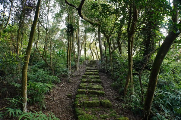 新北 三峽-土城 大暖尖山、火焰山、石門內尖山、十八羅漢岩、成福山3016604