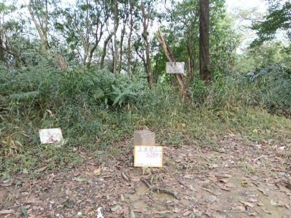 汐止區茄苳越嶺古道+上鹿窟崙山+九層坪山+四分尾山+大尖山8字走2981595