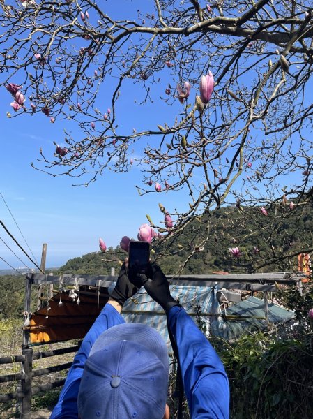 楓樹湖古道3012063