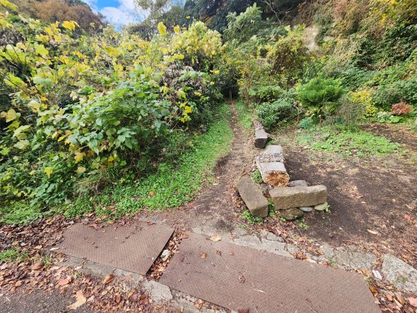 20251129鷹取山神武寺山2963964