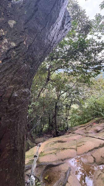 大雨後🙄2845399