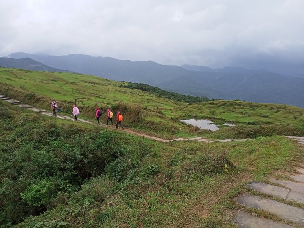 【新北-臺灣百大必訪步道】灣坑頭山→福德山→桃源谷草嶺線→大溪線→蕃薯寮山→大溪火車站1524610