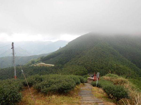 1070804雲嘉五連峰環形縱走377023