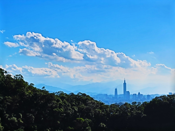 台北內湖碧山路步道96080