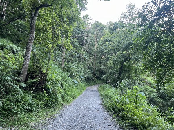 [玉山尋寶任務-03/12] 2025_0810 瓦拉米步道2857355