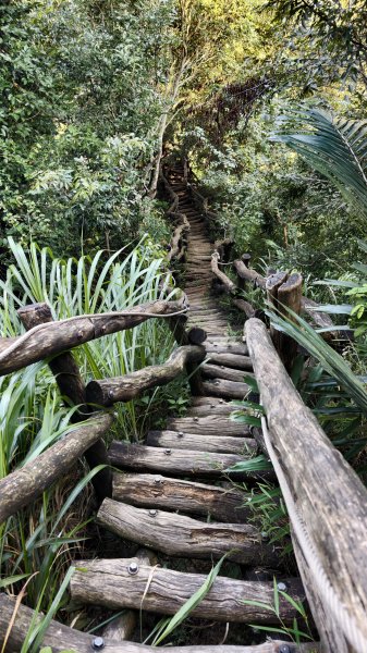 【台灣健行】台中大坑 5-1、5 頭嵙山2879636