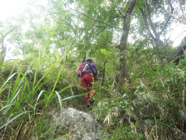 太魯閣布洛灣山月岩138972